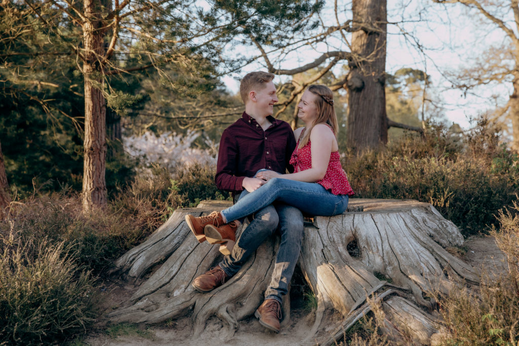 Toby and Jemma sat on a tree stump at golden hour on their engagement shoot