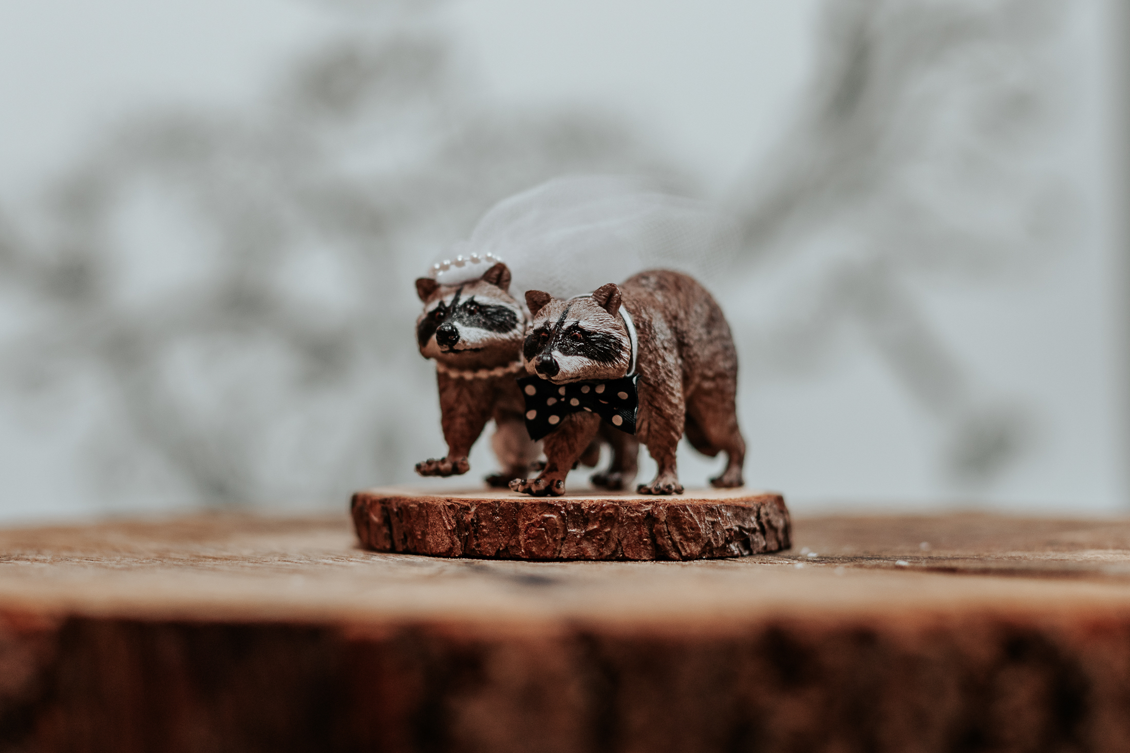 Two raccoon cake toppers, one with a veil and one with a bowtie
