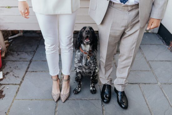 A couple in their wedding suits with their dog sat between them